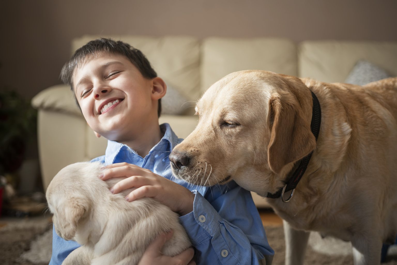 Pflegehinweise für das lange und gesunde Leben Ihres Hundes