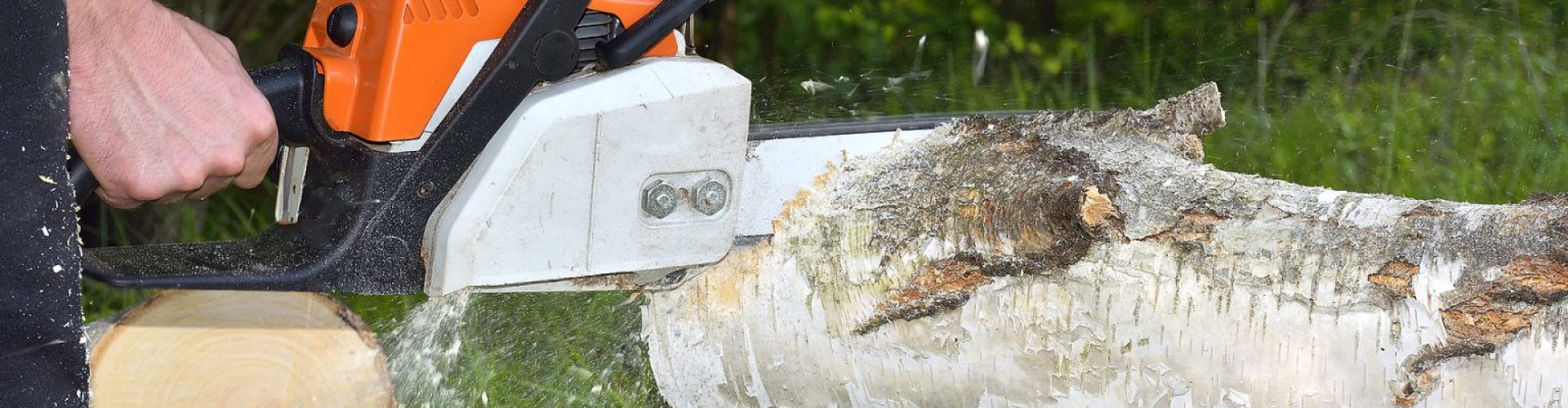Wie-man-eine-Motorsage-beim-Schneiden-von-Baumen-u.jpg